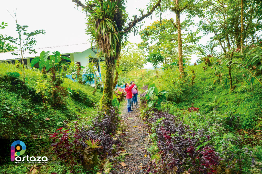 Estación Biológica Pindo Mirador