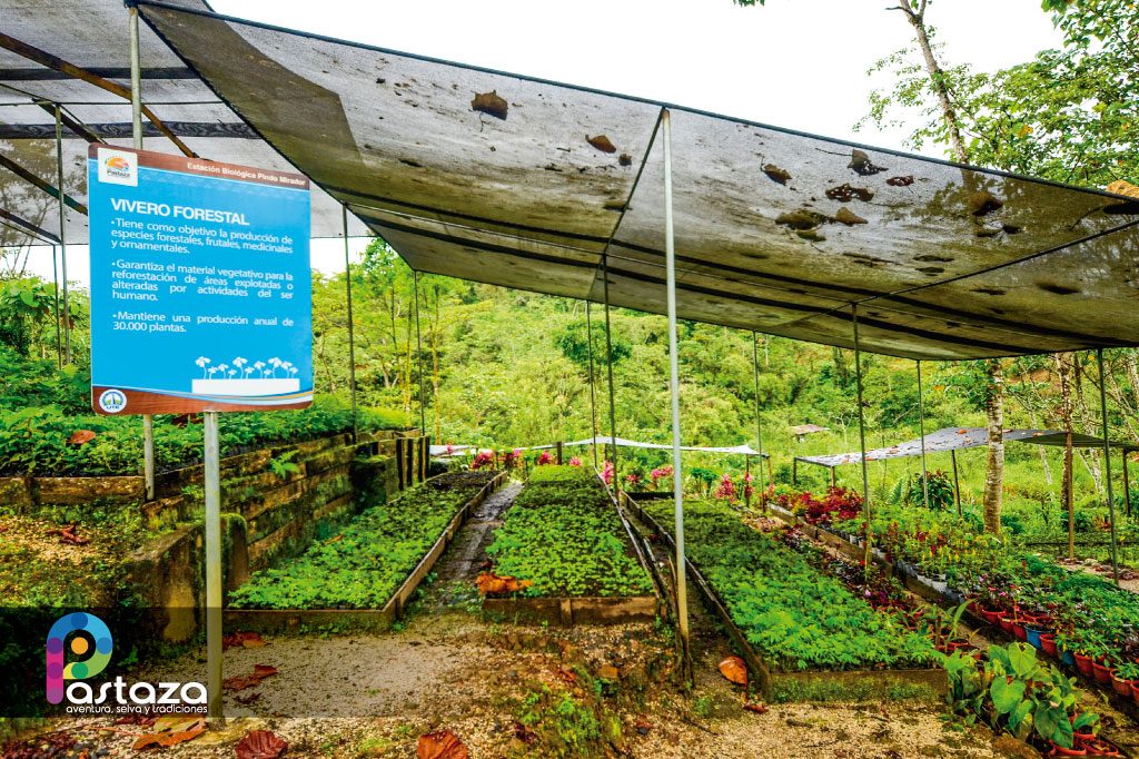 Estación Biológica Pindo Mirador