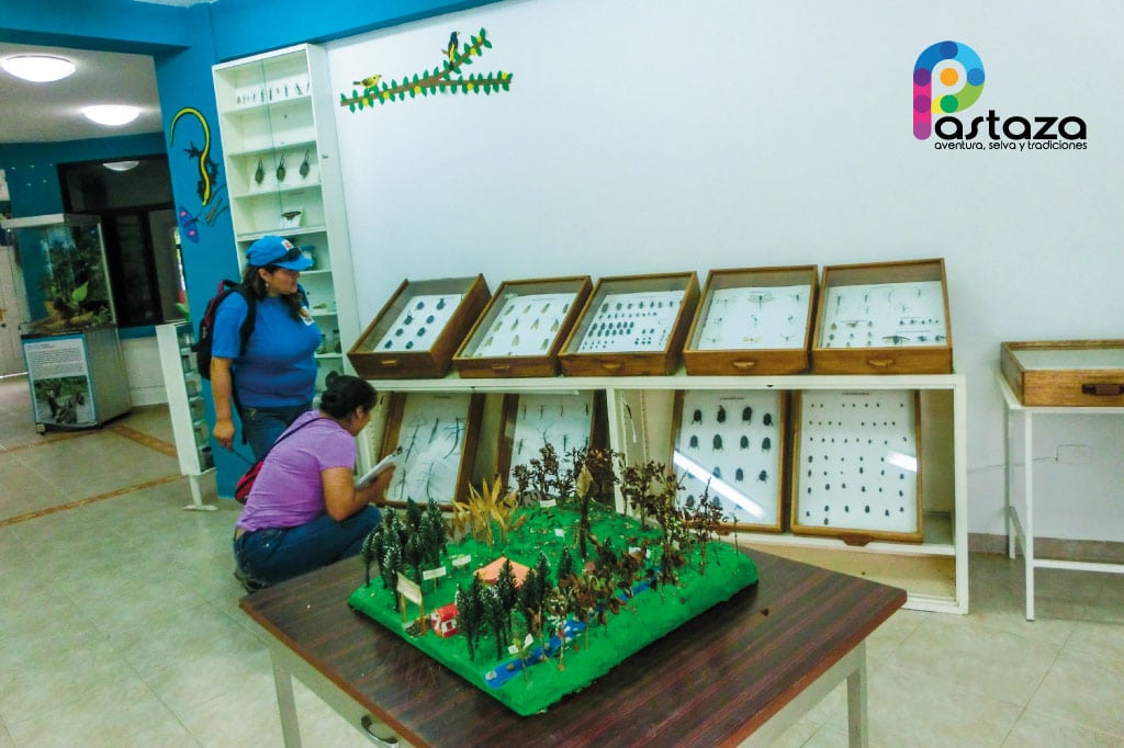 Estación Biológica Pindo Mirador