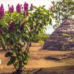 Bosque Protector Arutam