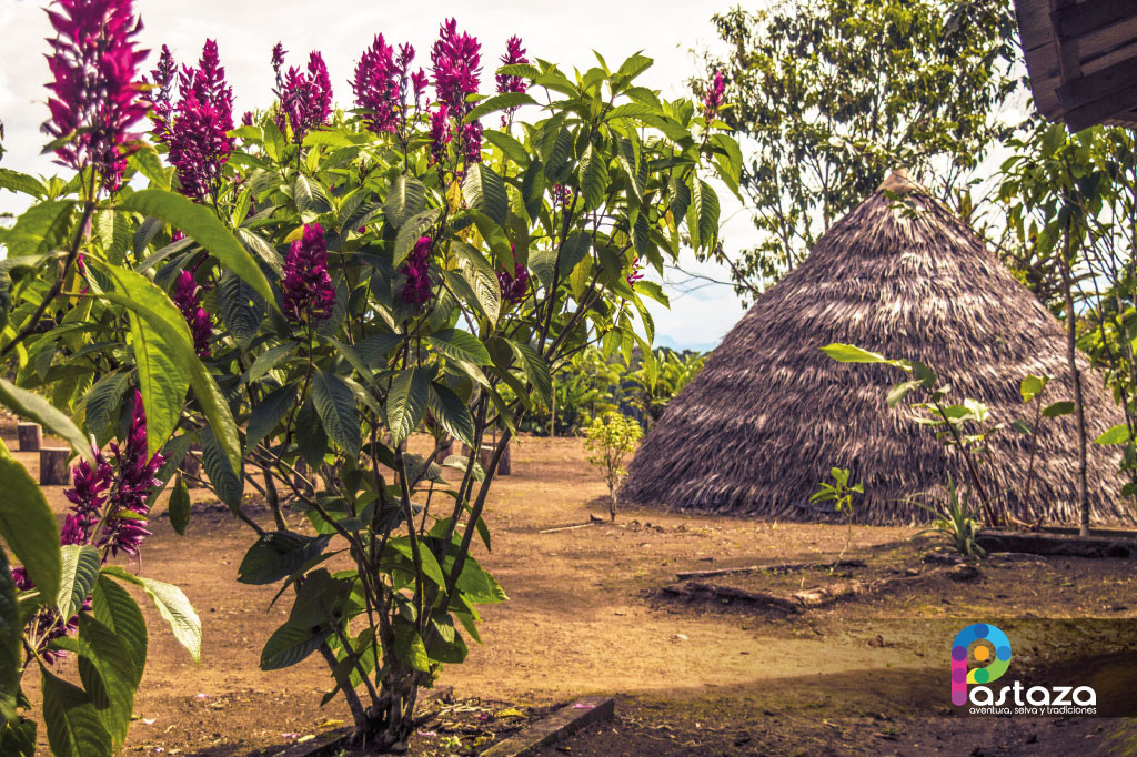 Bosque Protector Arutam