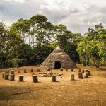 Bosque Protector Arutam