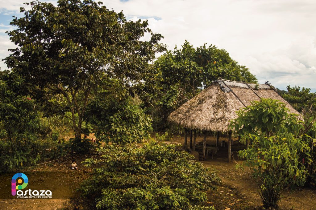 Bosque Protector Arutam