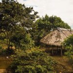 Bosque Protector Arutam