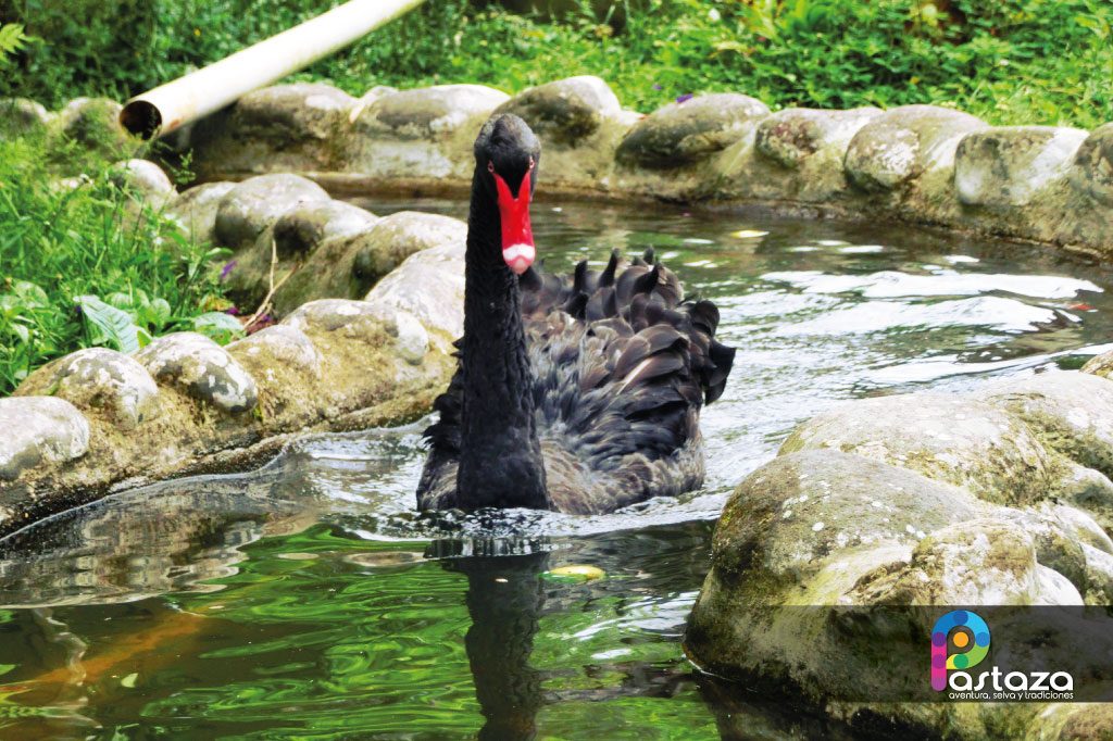 Zoológico El Edén