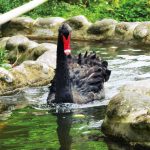 Zoológico El Edén