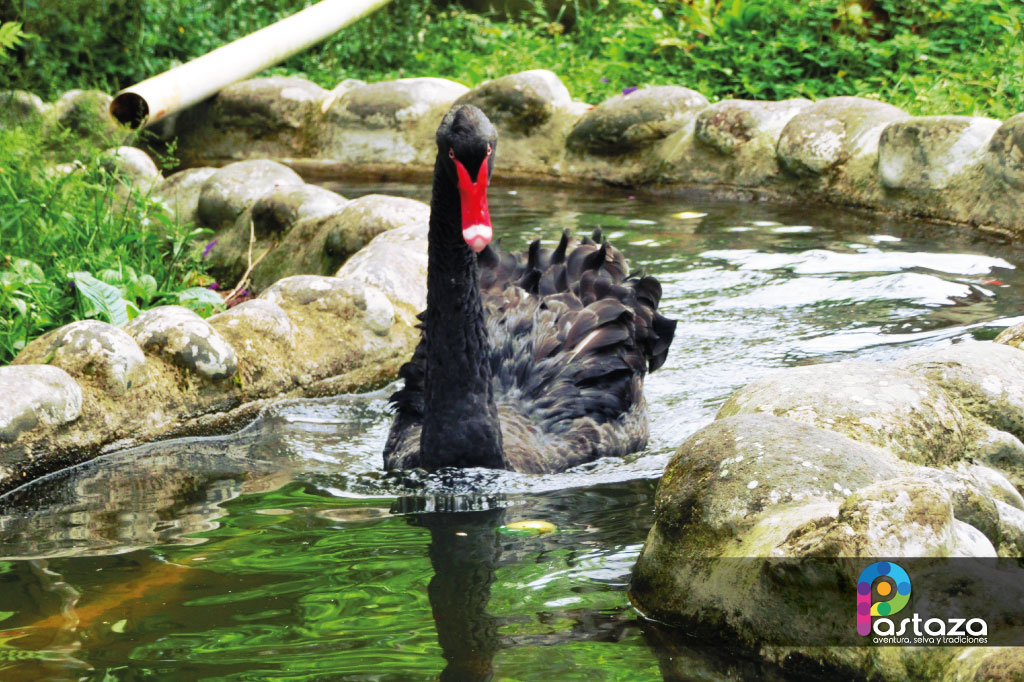 Zoológico El Edén