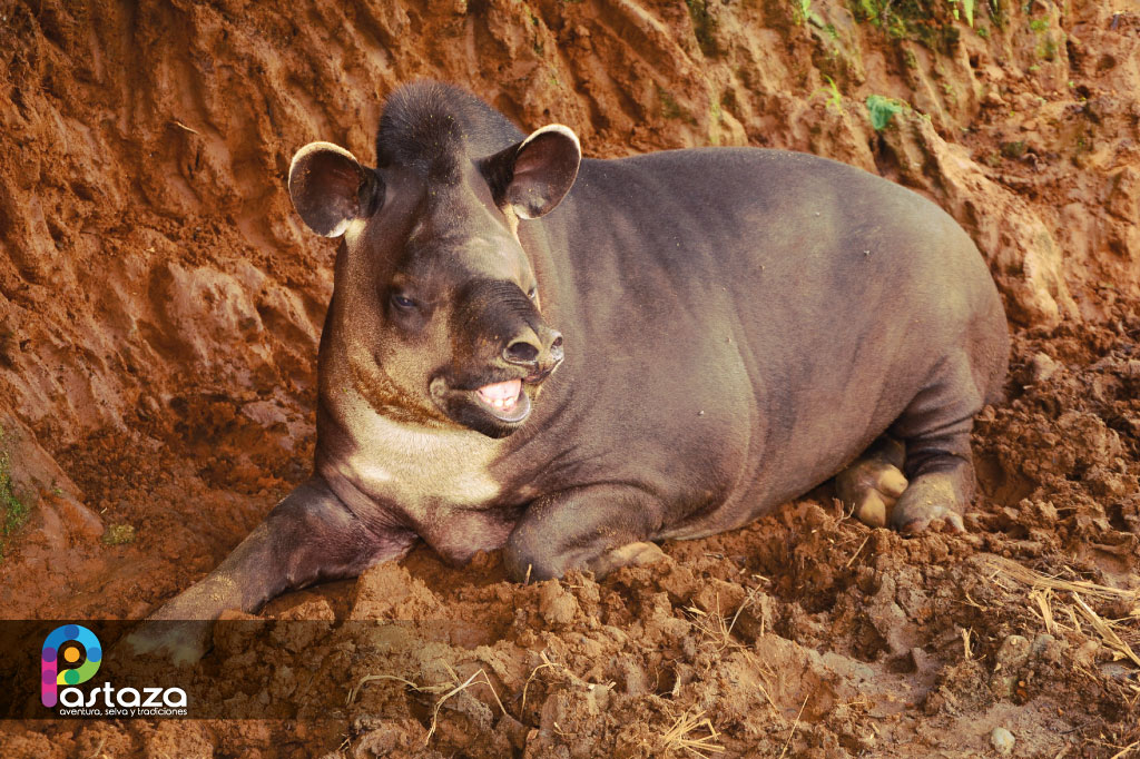 Zoológico El Edén