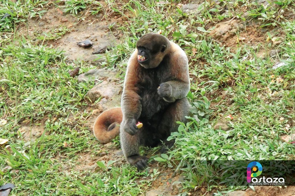 Zoológico El Edén