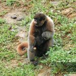 Zoológico El Edén