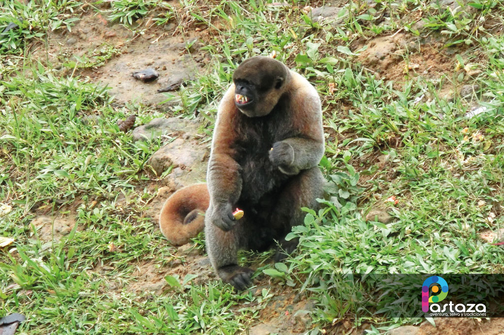 Zoológico El Edén
