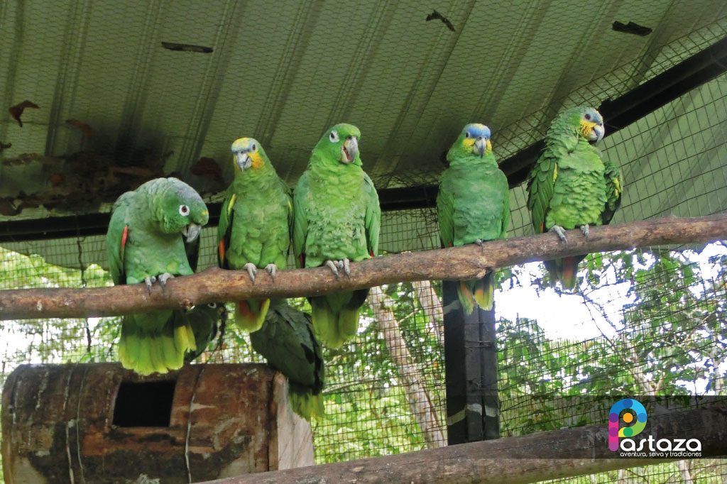 Zoológico El Edén