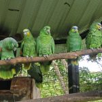 Zoológico El Edén