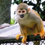 Zoológico El Edén