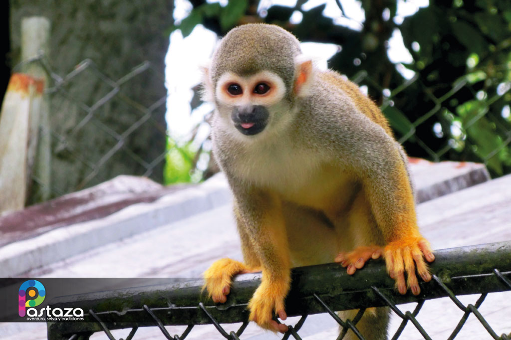 Zoológico El Edén