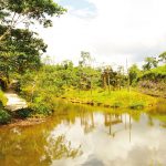 Zoológico El Edén