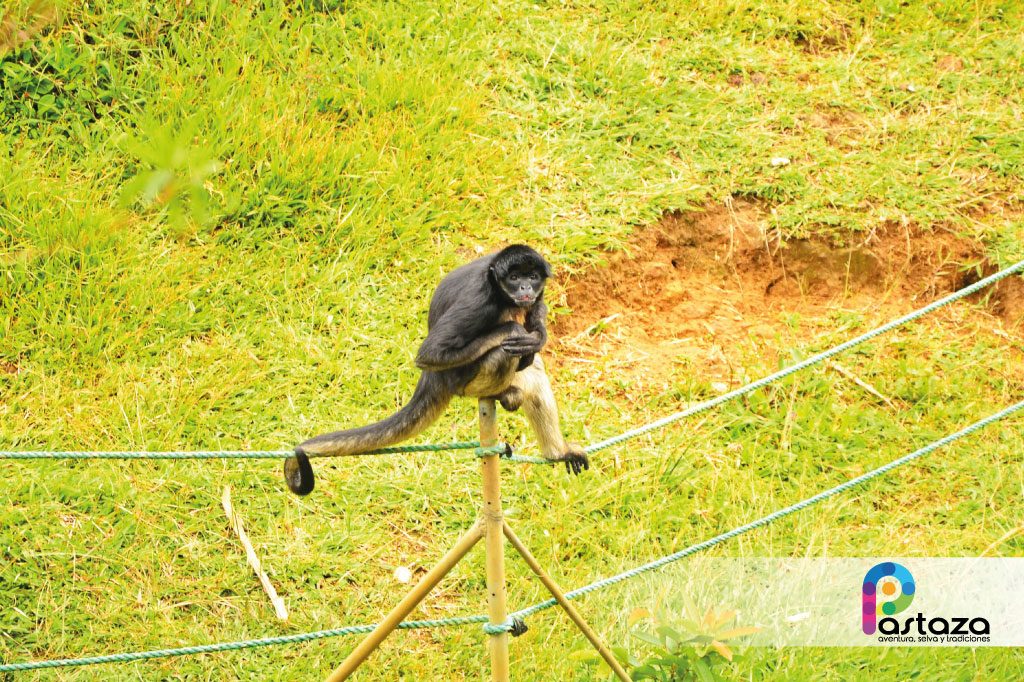 Zoológico El Edén