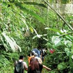 Jardín Botánico Shuar Jintim