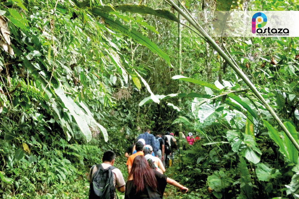 Jardín Botánico Shuar Jintim