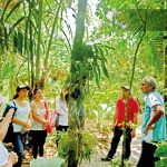 Jardín Botánico Shuar Jintim