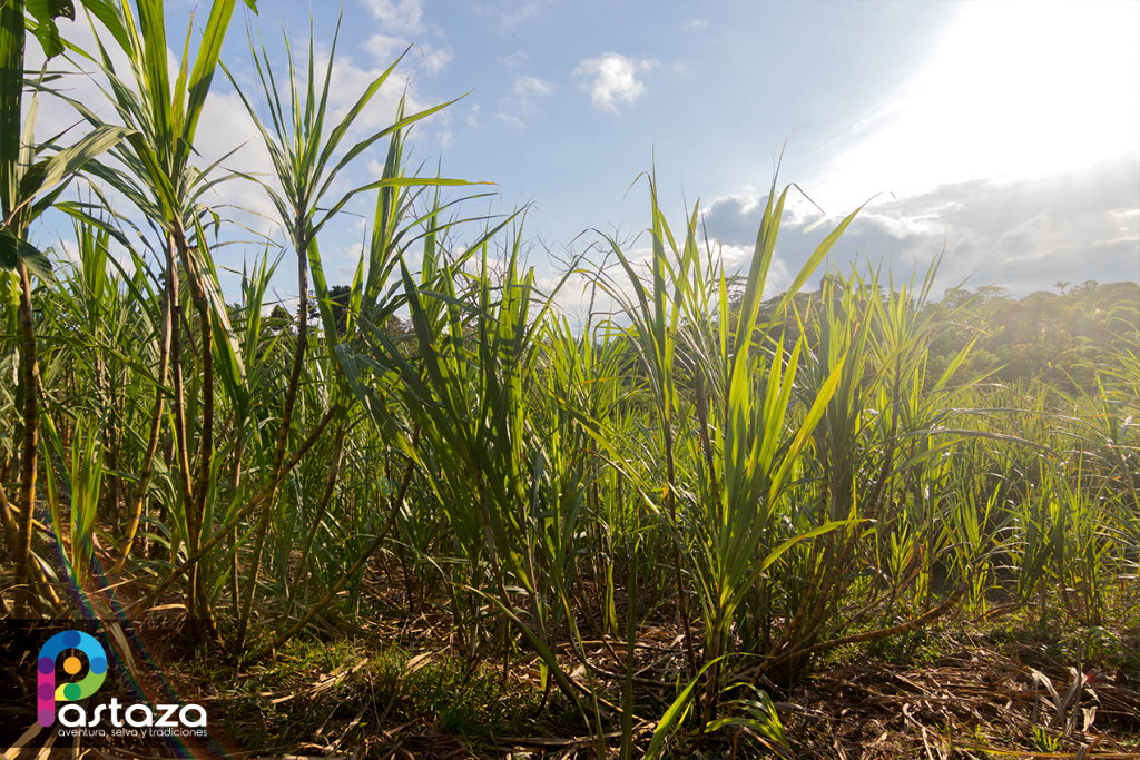 Emprendimiento de Turismo Comunitario La Mariscal Sucre - Pastaza Travel