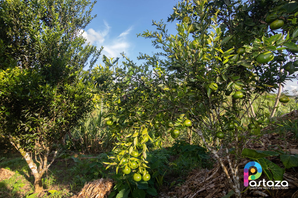Emprendimiento de Turismo Comunitario La Mariscal Sucre - Pastaza Travel