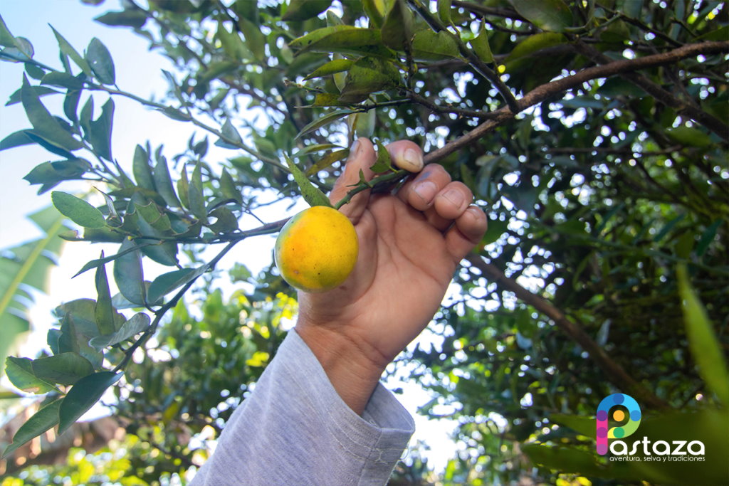 Emprendimiento de Turismo Comunitario La Mariscal Sucre - Pastaza Travel