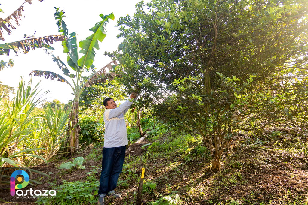 Emprendimiento de Turismo Comunitario La Mariscal Sucre - Pastaza Travel