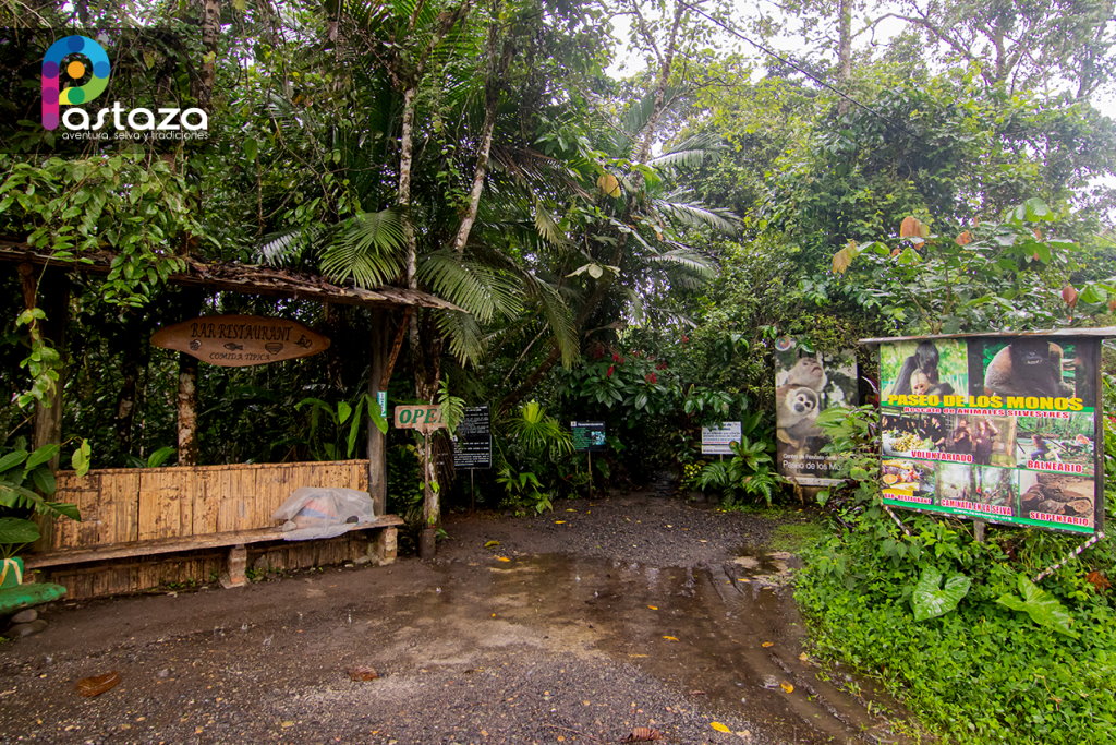 Paseo de los Monos - Pastaza Travel