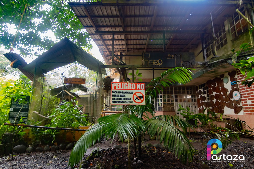 Paseo de los Monos - Pastaza Travel