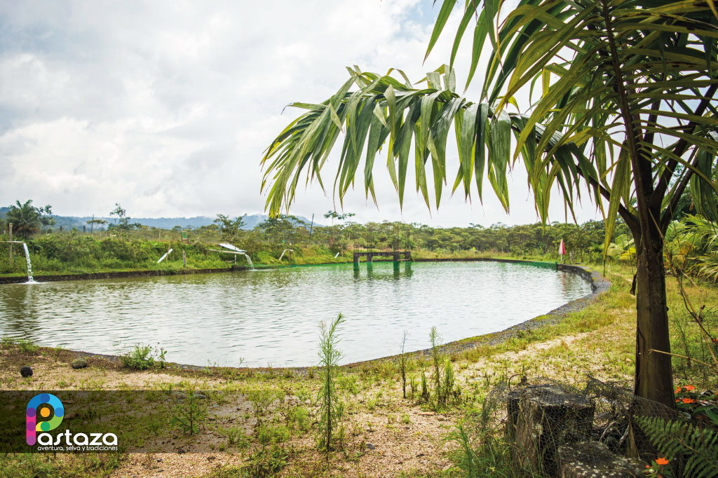 Pesca Deportiva Galarza