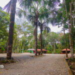 Balneario Natural del Río Piatúa - Pastaza Travel