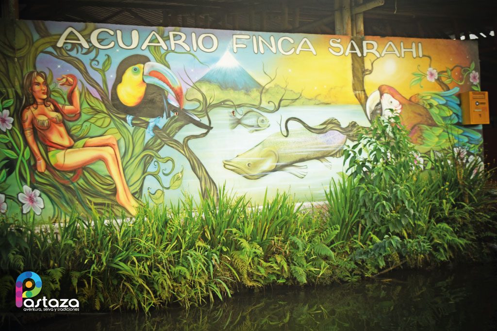 Acuario Finca Sarahi