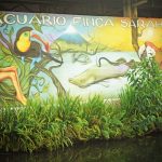 Acuario Finca Sarahi