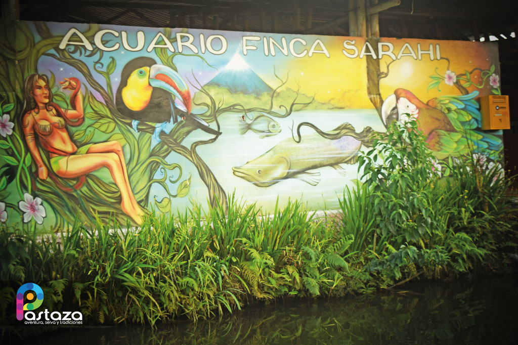 Acuario Finca Sarahi