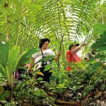 Emprendimiento Turístico Waylla Sacha