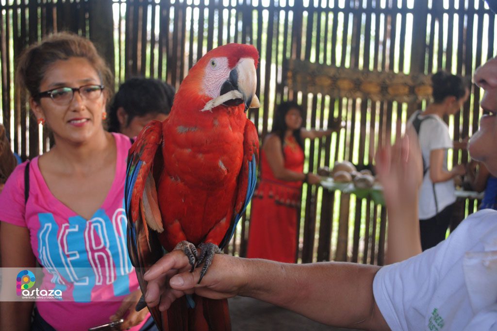 Comunidad Ecológica Cultural Yaku Runa