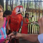 Comunidad Ecológica Cultural Yaku Runa