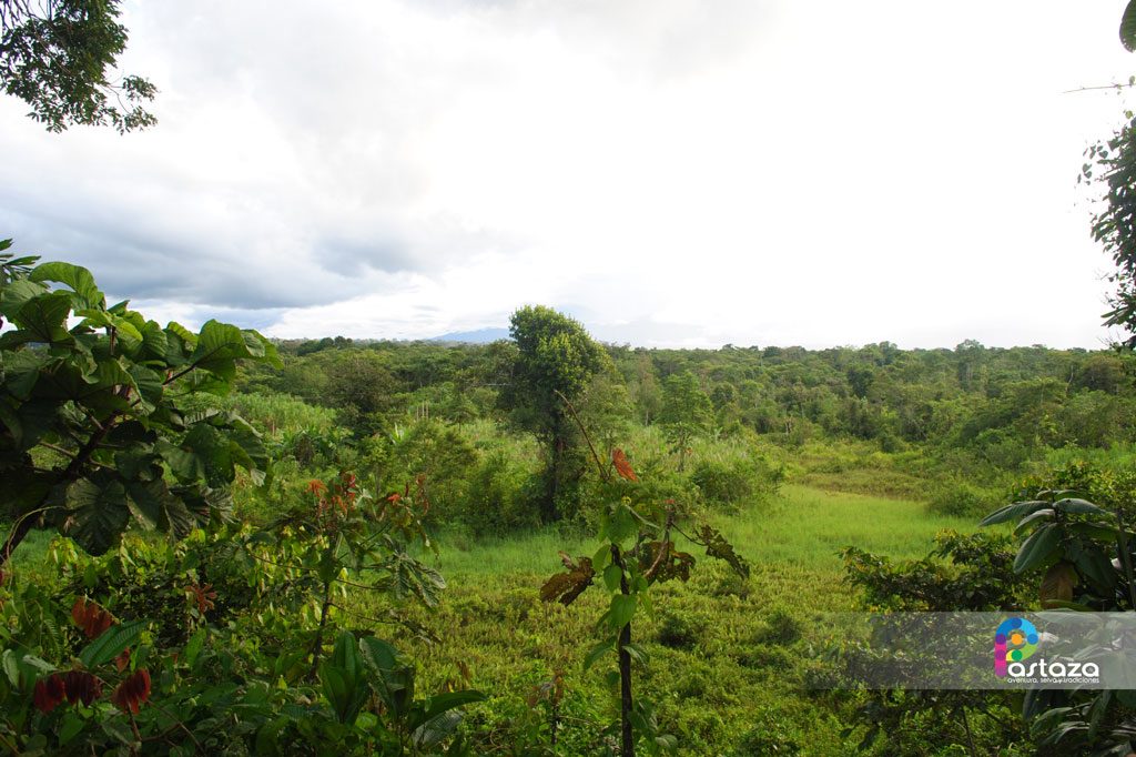 Comunidad Ecológica Cultural Yaku Runa