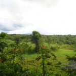 Comunidad Ecológica Cultural Yaku Runa