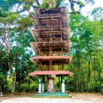 Complejo Turístico del Río Tigre