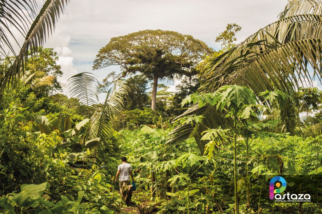 Emprendimiento de Turismo Cueva de los Tayos