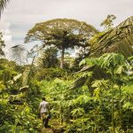 Emprendimiento de Turismo Cueva de los Tayos