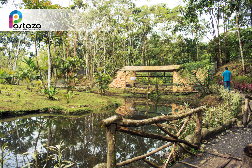 Zoológico Bioparque Yanacocha