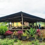 Artesanías Campo Alegre