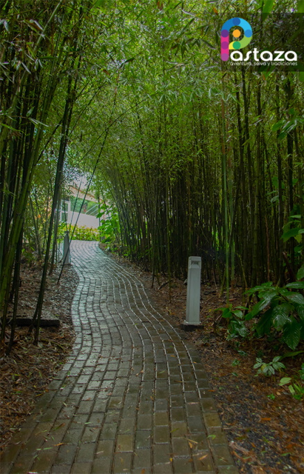 Ecopark - Pastaza Travel