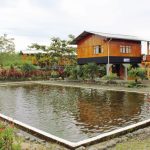 Cabañas La Estancia Guadalupe