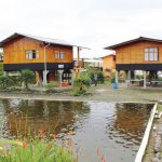 Cabañas La Estancia Guadalupe