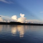 River Dolphin Expedition