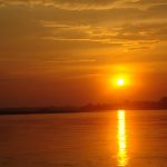 River Dolphin Expedition